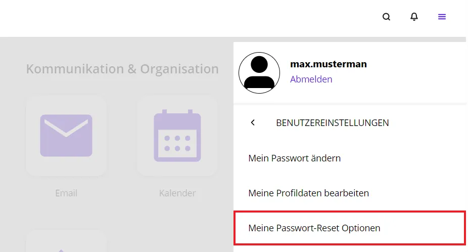 Meine Passwort-Reset Optionen Meine Passwort-Reset Optionen